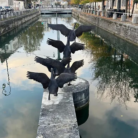 Hyper Centre Le Cozy Colbert Appartement *